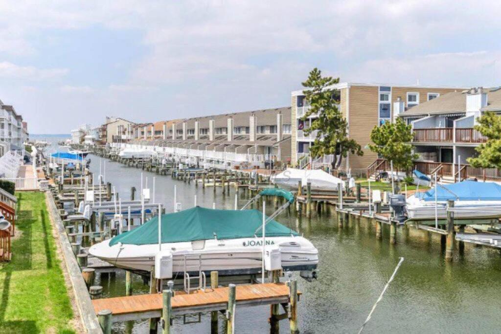Lucy'S Bayside Paradise Ocean City Exterior photo