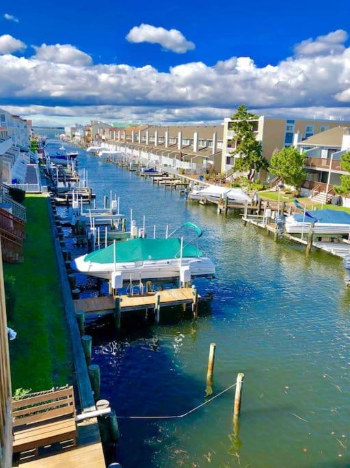 Lucy'S Bayside Paradise Ocean City Exterior photo